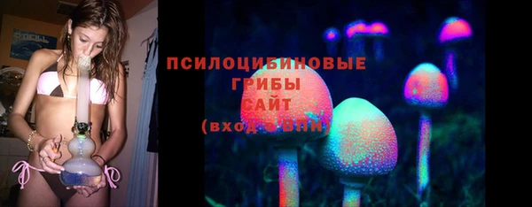 СК Армянск