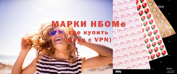 шишки Покачи